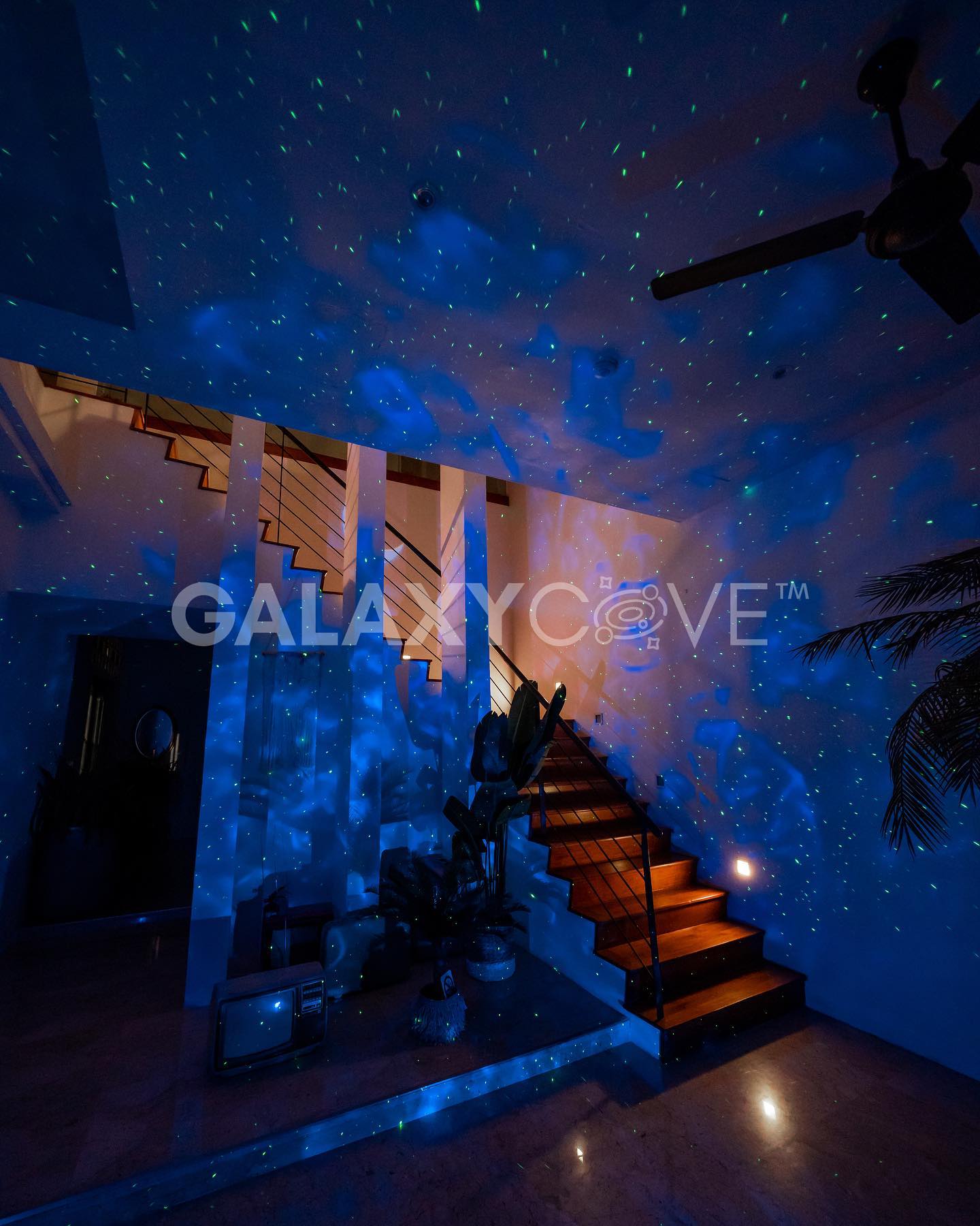 Galaxy Cove® I 2025 Edition™
